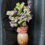 Evergreen Blue Campanula