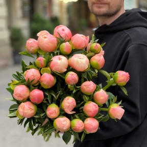 Пион King's Day