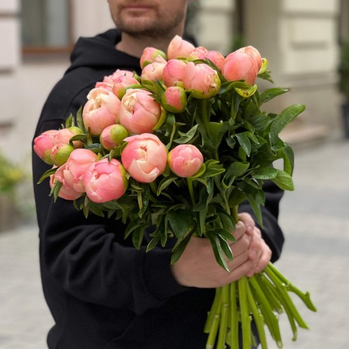 Пион King's Day