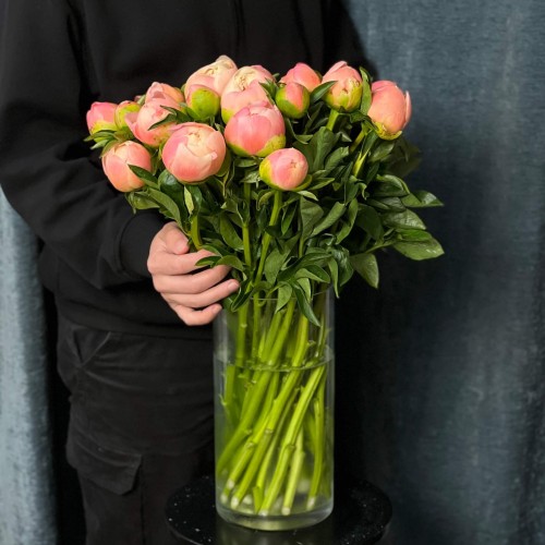 Пион King's Day