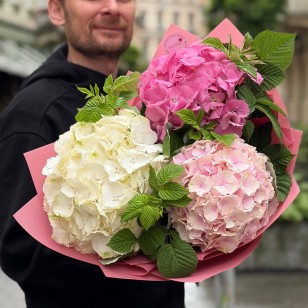 Букет из 3 гортензий с малиновыми листьями «Ягодная панна-котта»