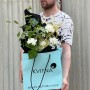 Interesting bouquet with protea «Stylish Compliment»