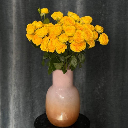 Golden Trendsetter Spray Peony Rose
