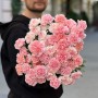 Assorted Pink Dianthus