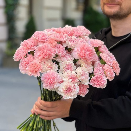 Assorted Pink Dianthus