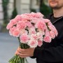 Assorted Pink Dianthus