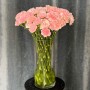 Assorted Pink Dianthus