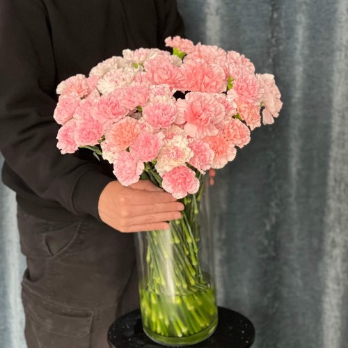 Assorted Pink Dianthus