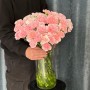 Assorted Pink Dianthus