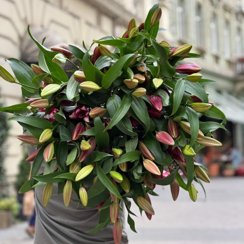 Лилия Lasting Love