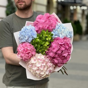 7 різнокольорових гортензій у букеті «Літній калейдоскоп»
