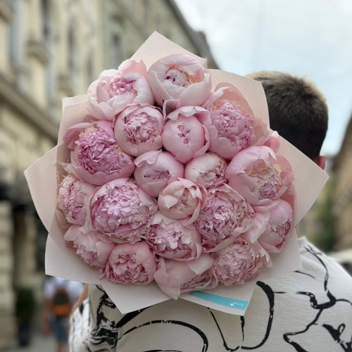 19 півоній сорту Petticoat Flounce у букеті «Зефірний настрій»
