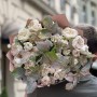 19 веток кустовой пионовидной розы Chiffon в букете «Сливочные волны»