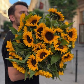 Геліантус Sunrich