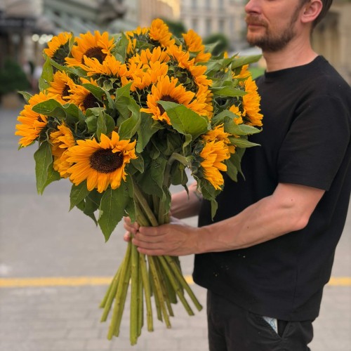 Гелиантус Sunrich