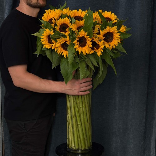 Гелиантус Sunrich