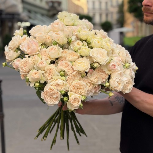 Роза кустовая пионовидная Chiffon