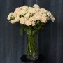 Роза кустовая пионовидная Chiffon