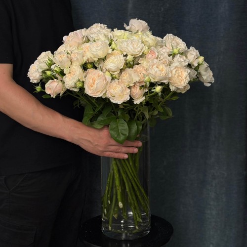 Роза кустовая пионовидная Chiffon