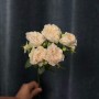 Роза кустовая пионовидная Chiffon