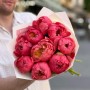 9 яскравих півоній Coral Charm у букеті «Кавуновий сорбет»