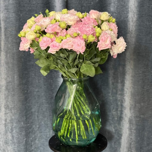 Alisa First Love Eustoma