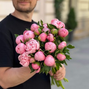 Півонія Etched Salmon