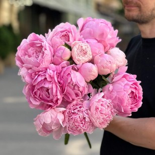 Dinner Plate Peony