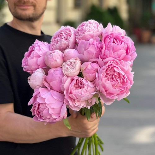Dinner Plate Peony