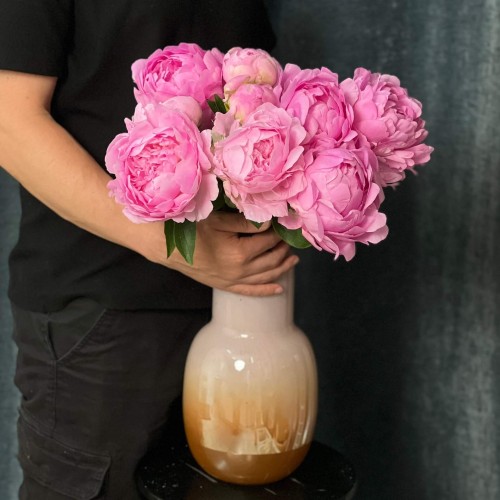 Dinner Plate Peony
