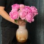 Dinner Plate Peony