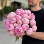  Sarah Bernhardt Peony