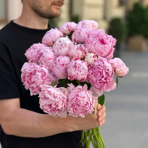  Sarah Bernhardt Peony