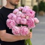  Sarah Bernhardt Peony