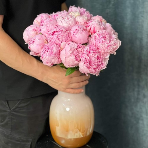  Sarah Bernhardt Peony