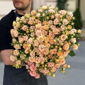 Ексклюзивна кущова троянда Shiraz від плантації Vip Roses