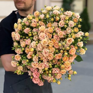 Exclusive Shiraz spray rose from the Vip Roses plantation