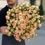 Эксклюзивная кустовая роза Shiraz от плантации Vip Roses