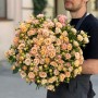 Эксклюзивная кустовая роза Shiraz от плантации Vip Roses