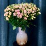 Эксклюзивная кустовая роза Shiraz от плантации Vip Roses