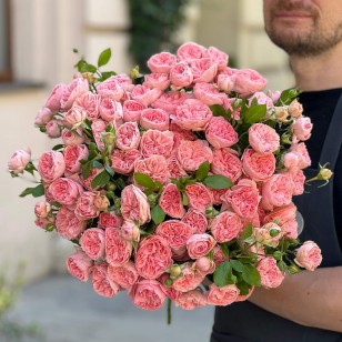 Sandringham Spray Peony Rose