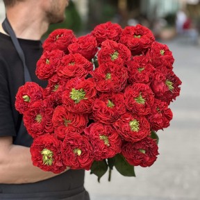 Red Monster Peony Rose