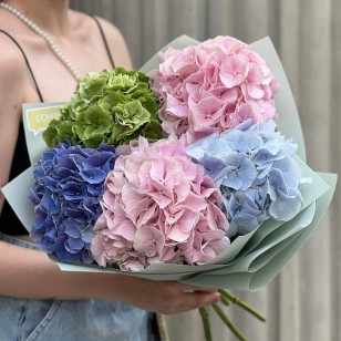 Bouquet of 5 luxurious hydrangeas «Pastel Joy»