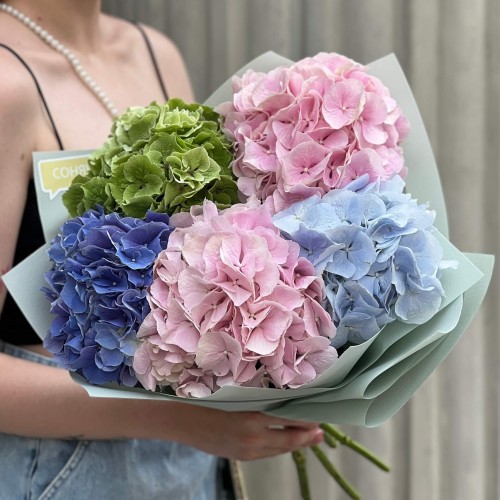 Bouquet of 5 luxurious hydrangeas «Pastel Joy»