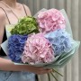 Bouquet of 5 luxurious hydrangeas «Pastel Joy»