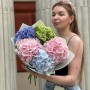 Bouquet of 5 luxurious hydrangeas «Pastel Joy»