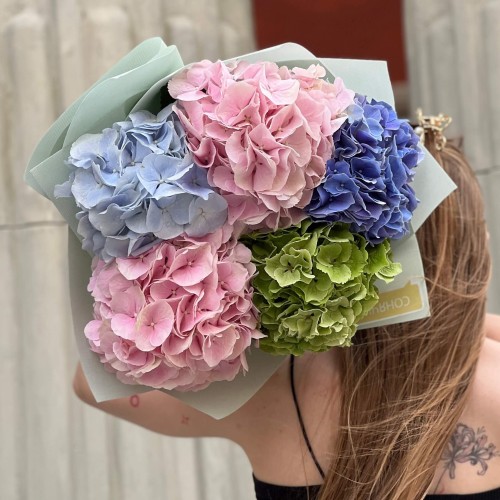 Bouquet of 5 luxurious hydrangeas «Pastel Joy»
