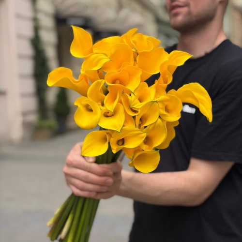 Gold Medal Calla Lily