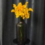 Gold Medal Calla Lily