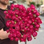 Marvelous Bubbles Spray Peony Rose